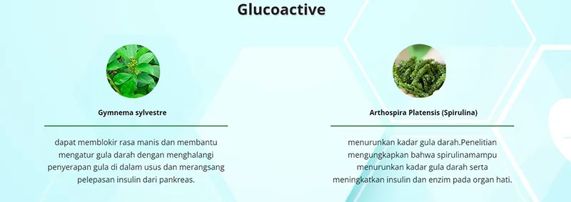 GlucoActive