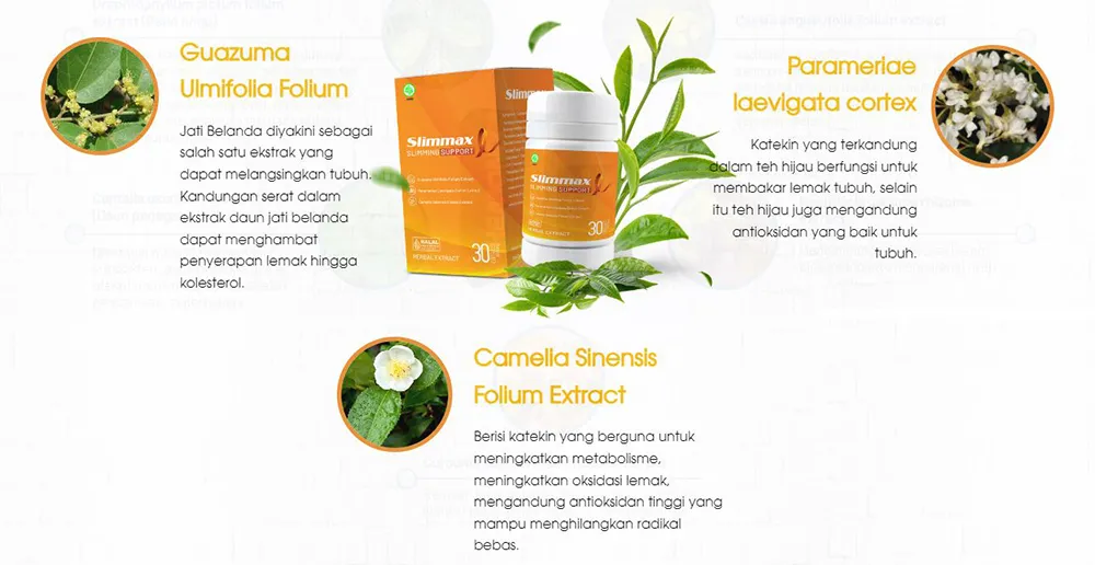 Slimmax
