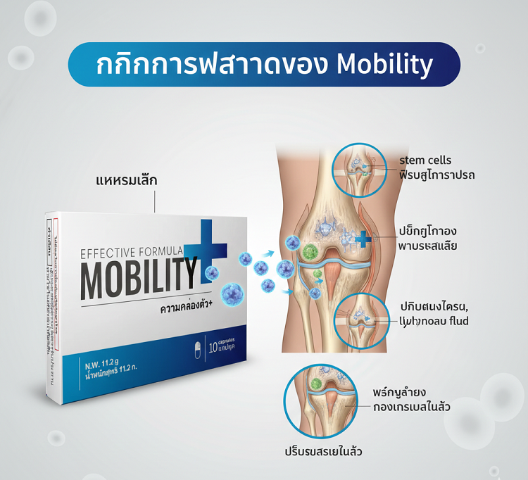 Mobility